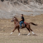 TOKI-Kura-Cekilisleri-Hiz-Kesmiyor-Afyonkarahisar8217dan-Subat8217a-Takvim-featured