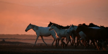 Meram8217dan-Dunya-Sahnesine-Ayse-Tekin-UNDP-Zirvesi8217nin-Ilk-Turk-Kadin-Konusmacisi-featured