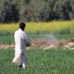 Tarimsal-Destek-Odemeleri-Mazot-ve-Gubre-Yardimi-Ne-Zaman-Ciftcinin-Hesabina-Gececek-featured